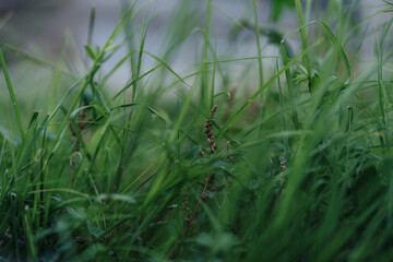 Architects, engineers, and designers discussing sustainable design and project planning. Teamwork, finance negotiation, and paperwork review for an innovative urban development. Green surroundings.