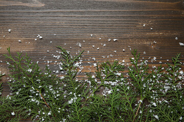 Christmas branches with snow on dark wooden background