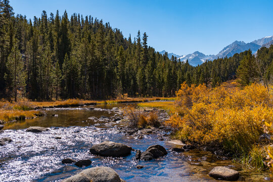 Hiking in Little Lakes Valley in the Eastern Sierra Nevada Mountains outside of Bishop, California. Alpine lakes, fall leaf colors, snow capped mountains and evergreen trees combine to make a pictures