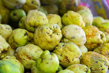 Fototapeta premium Closeup of heap of ripe organically grown quinces. Concept of healthy delights. Natural food background..