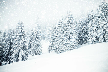 magical frozen winter landscape with snow covered fir trees