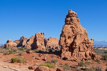 Fototapeta premium Arches National Park is so much more than just its 2,000 natual arches. It's full of astounding variety of red rock formations