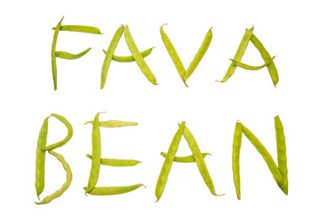 Fava beans text written on a white background with the beans themselves