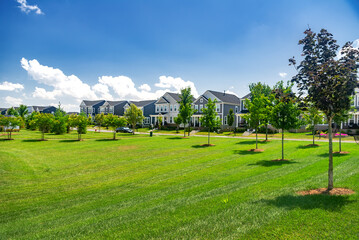 street in residential area in the suburbs.  large green lawn with trees and rows of individual...