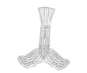 
Bokjori, New Year's custom, Korean tradition, good luck wish,