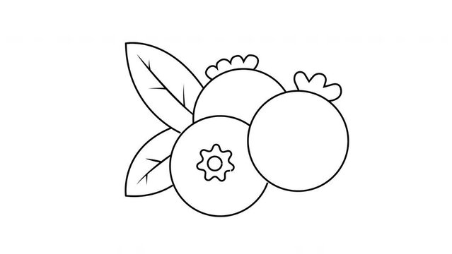 Animation forms a sketch of a blueberry icon