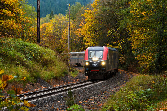 Skykomish, WA, USA - October 22, 2023; Amtrak Empire Builder passenger train on a damp fall morning