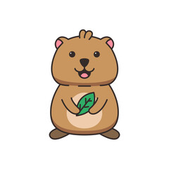 Cute quokka with a leaf. Vector illustration on white background.