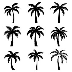 Flat Vector Cartoon Black and White Palm Trees, Palm Tree Silhouette Icon Set Isolated. Palm Design Template for Tropical, Vacation, Beach, Summer Concept. Vector Illustration. Front View