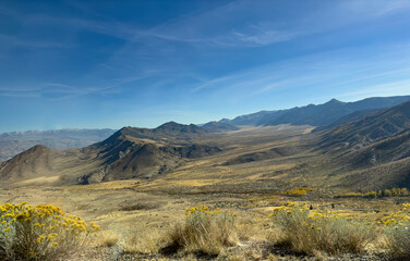 Mountain Valley Near Coleville
