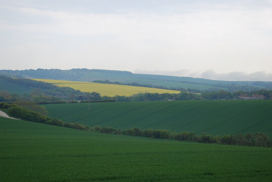 Overcast Sky Stormy Grey Clouds English British Rolling Lush Green Hill Countryside Fields & Farmland Travel Photography Landscape Vista Bright Contrast Green and Yellow Land Patches