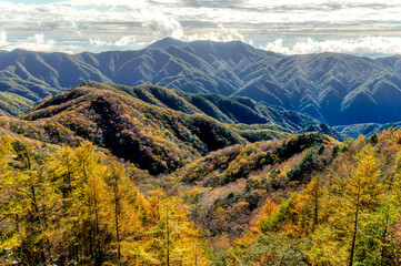栃木県日光市　奥の紅葉