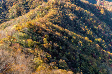 栃木県日光市　奥の紅葉