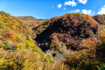 栃木県日光市　日光いろは坂の紅葉