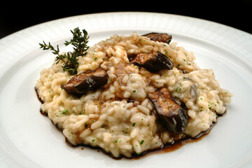 Italian food recipes. Risotto with eel.