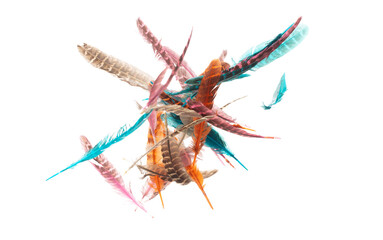 Many color Feather fly fall beautiful spiral pattern in air over black background isolated. Puffy Fluffy soft feathers like dream floating dove in sky. Colorful feathers are so light and delicate