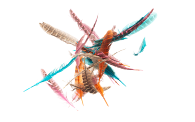 Many color Feather fly fall beautiful spiral pattern in air over black background isolated. Puffy Fluffy soft feathers like dream floating dove in sky. Colorful feathers are so light and delicate