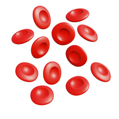 Blood cells  on white background