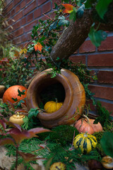autumn pumpkins in a jug and autumn leaves on the background of a brick wall