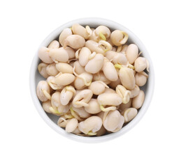 Dish with sprouted kidney beans isolated on white, top view