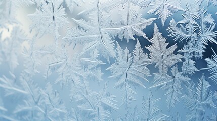 Intricate frost designs on a window screen in winter.