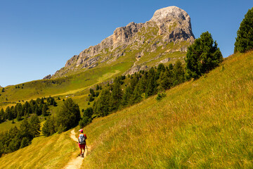 Obraz premium Summer Landscape of Dolomite Alps at picturesque Goma Pass.
