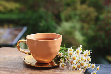 Cup of delicious chamomile tea and fresh flowers outdoors