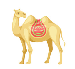 Indian camel with saddle concept. Animal with traditional indian clothes. Bedouin transport in desert, caravan. Poster or banner. Cartoon flat vector illustration isolated on white background