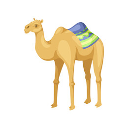 Indian camel with saddle concept. Animal with traditional indian clothes. African wild life and fauna. Poster or banner. Cartoon flat vector illustration isolated on white background