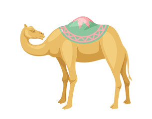 Indian camel with saddle concept. Animal with traditional indian clothes. Sticker for social networks and messengers. Cartoon flat vector illustration isolated on white background