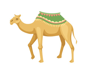 Indian camel with saddle concept. Animal with traditional indian clothes. Culture and history. Graphic element for website. Cartoon flat vector illustration isolated on white background