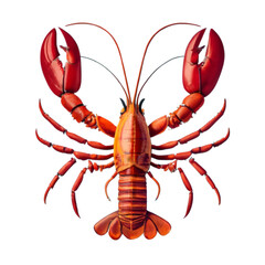Lobster Illustration  Art With a Transparent Background Generative AI.