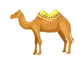Indian camel with saddle concept. Animal with traditional indian clothes. Caravan of bedouins transport for desert. Cartoon flat vector illustration isolated on white background