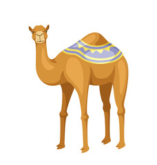 Indian camel with saddle concept. Animal with traditional indian clothes. Fauna, biology and wild life. Poster or banner. Cartoon flat vector illustration isolated on white background