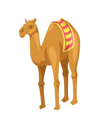 Indian camel with saddle concept. Animal with traditional indian clothes. Traditional african mammal for desert. Template and layout. Cartoon flat vector illustration isolated on white background