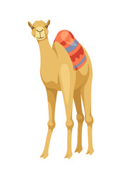 Indian camel with saddle concept. Animal with traditional indian clothes. Wild life and mammal. Graphic element for website. Cartoon flat vector illustration isolated on white background