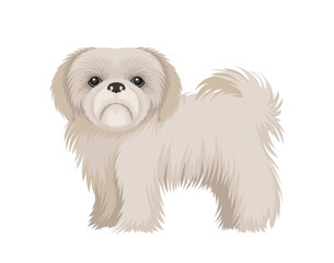 Cute dog concept. Adorable breed of pet and domestic animal. Cute white fluffy puppy. Graphic element for website. Cartoon flat vector illustration isolated on white background