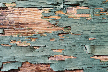 Old Weathered Flaky Green Paint On Wood Board