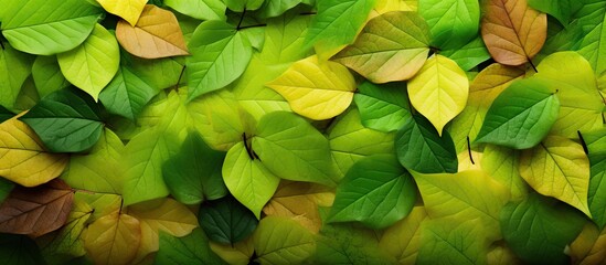 The green background image is perfect for seasonal use with autumn leaf colors