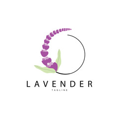 Lavender Logo, Hand Drawn Wedding Plant Design, Vector Lavender Plant Perfume Illustration Design