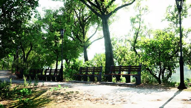 Green alley with trees in the park