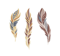 Set of feathers concept. Part of birds wings. Element of decor for Indian clothing. Tribal style. Template and layout. Cartoon flat vector collection isolated on white background