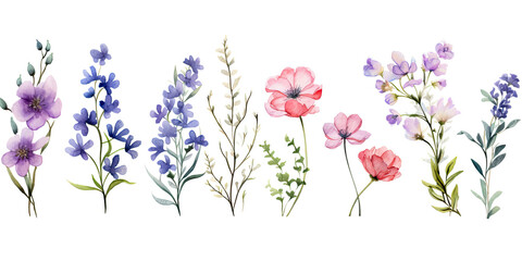 Set of flowers in watercolor