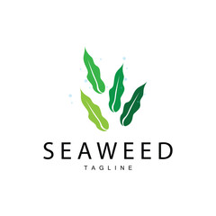 Seaweed Logo Design, Underwater Plant Design Illustrations, Cosmetics and Food Ingredient