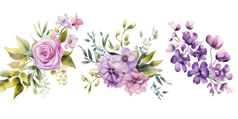 Set of flowers in watercolor