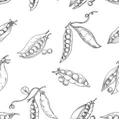 Hand Drawn Peas Seamless Pattern