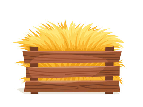 Haystack yellow concept. Agriculture and farming. Harvest and crop in cardboard box. Graphic element for website. Cartoon flat vector illustration isdolated on white background