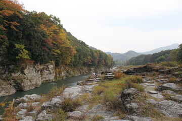 埼玉県長瀞岩畳の紅葉、2009年11月上旬