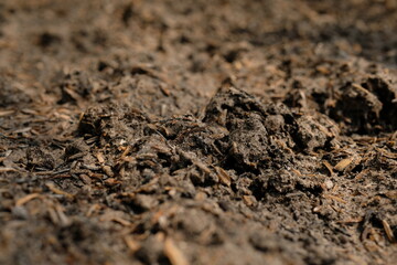 Close-up of soil texture for agriculture background. Natural soil background