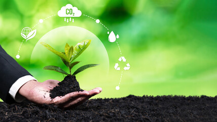 Businessman nurturing plant with eco design icon symbolize commitment to environmental business, growing plant to reduce carbon emission for sustainable future. Panorama Reliance